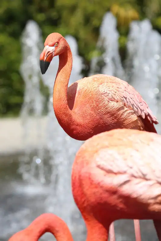 Flamingo statue(set of 3)