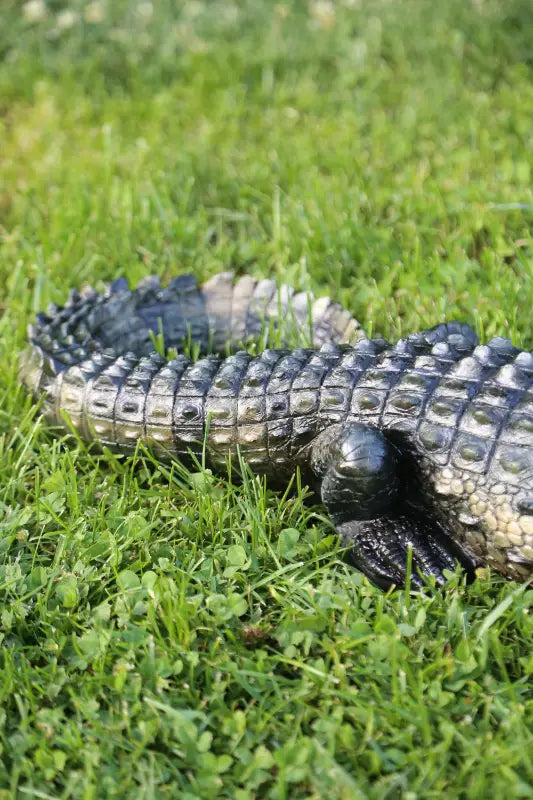 crocodile on the grass rear portrait 