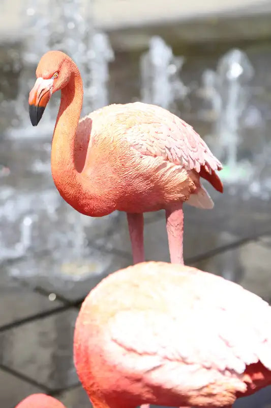 Flamingo statue(set of 3)