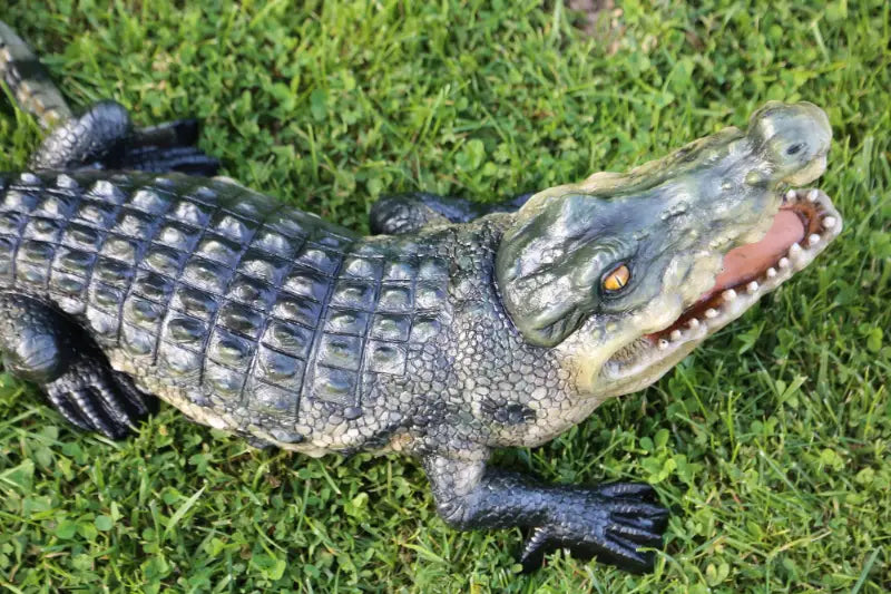 crocodile on the grass above landscape  