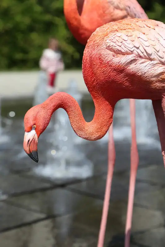 Flamingo statue(set of 3)