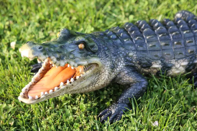 crocodile on the grass left side portrait 