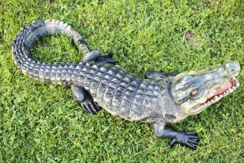 crocodile on the grass above view landscape 