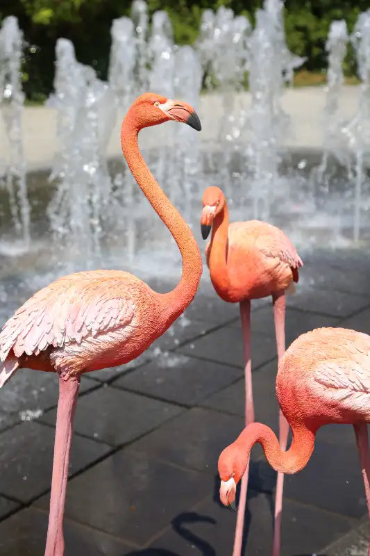 Flamingo statue(set of 3)