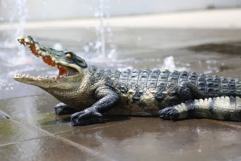 crocodile on the fountain left side landscape 