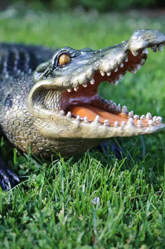 crocodile on the grass front portrait 