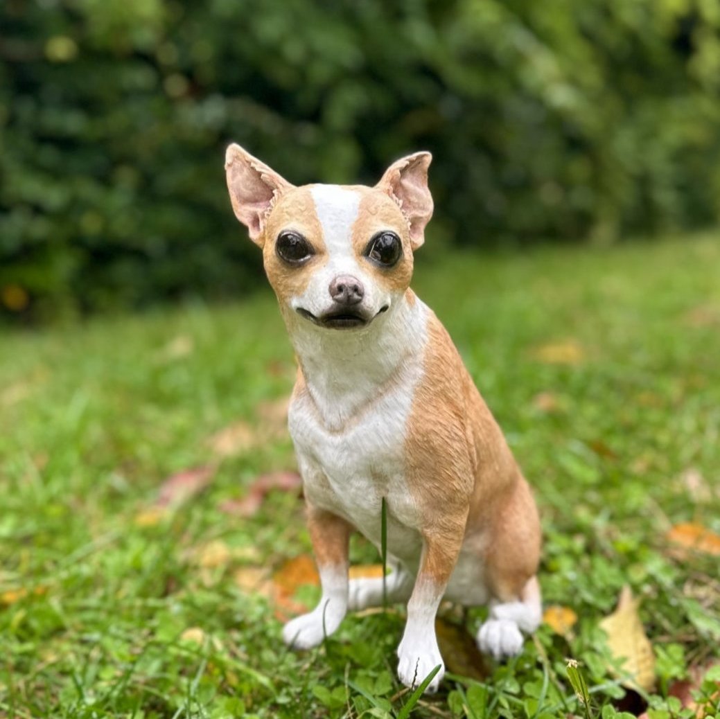 Şivava Köpek Heykeli